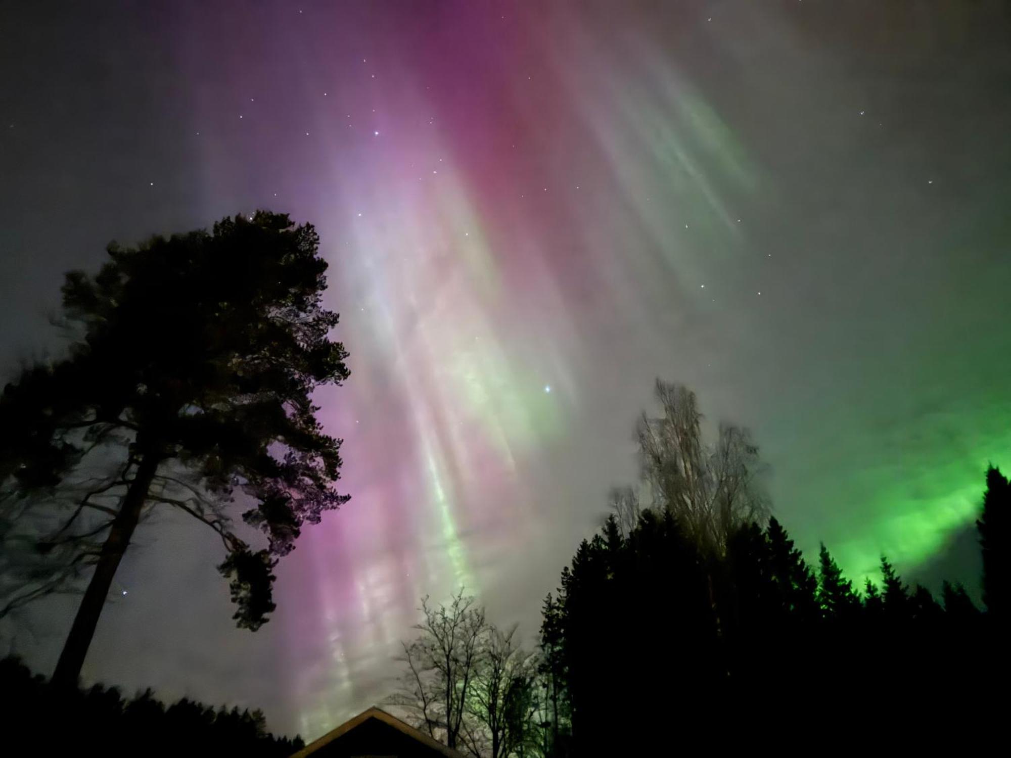 Ett Hus Med 3 Sovrum Med Supersnabba Internet Fiberanslutningen 1000Mb-100Mb I Hoeg, 7 Minuter Fran Hudiksvall Villa Exterior foto